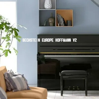 新品ピアノ　W.HOFFMANN VISION2　ホフマン　ベヒシュタインヨーロッパ社