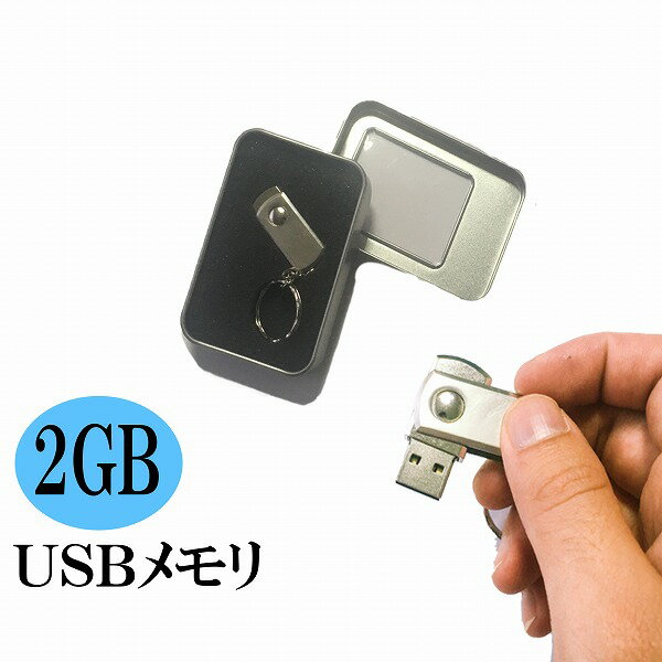 USBメモリ 2GB USBメモリー フラッシュ