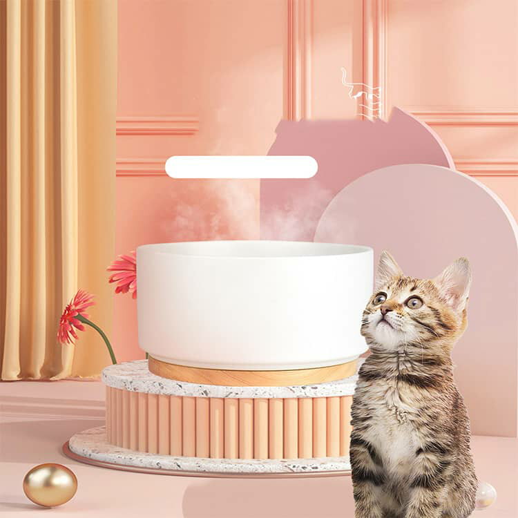 加熱 ペット用ボウル 空焚き防止 加熱給水器 犬 陶器 ペット給水器 猫用加熱ボウル 1000ml 1L 大容量 温水ボウル 一体型 食器 usb給電 恒温加熱 30℃ ペット用加熱ボール 恒温温水ボウル 冬 ペット用ボウル 小動物茶碗