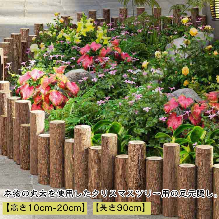 �ӱ��� ­�� �ʥ����� 14�ܥ��å� ­���� ���� ���� ���ꥹ�ޥ��ĥ꡼ ­������ ���åɥե��� �ĥ꡼ �̲� �� Ĺ�����ۤʤ� �ӥ��С� �ĥ꡼ �١���...