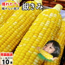 青森県産 嶽きみ だけきみ L-2Lサイズ 10本入 とうもろこし ダケキミ トウモロコシ とうきび もろこし 産地直送 送料無料