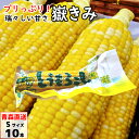 嶽きみ（真空パック） Sサイズ 10本 青森県産 だけきみ ダケキミ とうもろこし トウモロコシ もろこし きび 送料無料