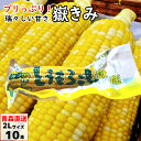 嶽きみ（真空パック） 2Lサイズ 10本 青森県産 だけきみ ダケキミ とうもろこし トウモロコシ もろこし きび 送料無料