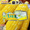 嶽きみ(真空パック) SSサイズ 5本/10本/20本/30本 青森県産 だけきみ ダケキミ とうもろこし トウモロコシ もろこし きび 岩木屋 送料無料