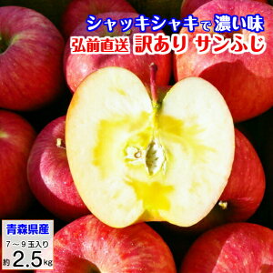 【クーポン50円オフ】 訳あり 葉とらずりんご りんご リンゴ 林檎 サンふじ 2.5kg 青森 ふじ フジ 富士 冨士 送料無料