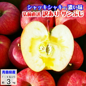 サンふじ りんご 訳あり リンゴ 林檎 3kg 青森産 葉とらず ふじ フジ 富士 冨士 送料無料