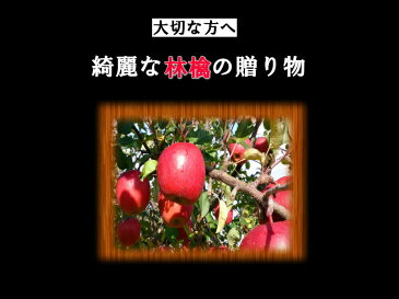 贈答用 青森 サンふじ 5kg 葉とらずりんご りんご フジ リンゴ 富士 林檎 富士 冨士 送料無料