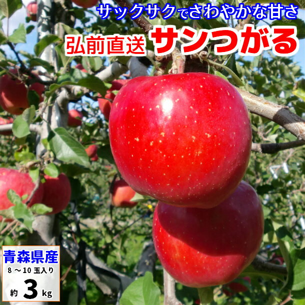 サンつがる りんご 訳あり 3kg 青森産 葉とらずりんご つがる サンツガル 津軽 リンゴ 林檎 送料無料