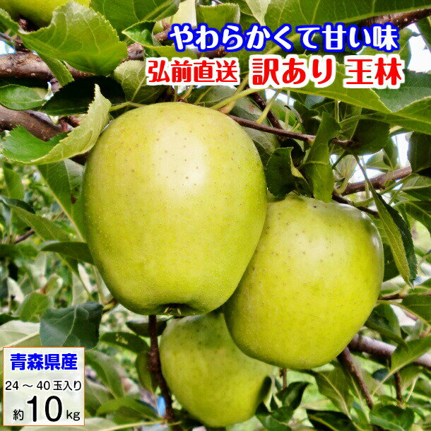 訳あり おうりん オウリン 王林 10kg 青森産 りんご リンゴ 林檎 葉とらずりんご 送料無料