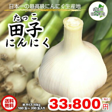 田子にんにく にんにく 青森県産 ニンニク 訳あり 送料無料 Mサイズ 10kg たっこにんにく タッコニンニク 国産 福地ホワイト六片