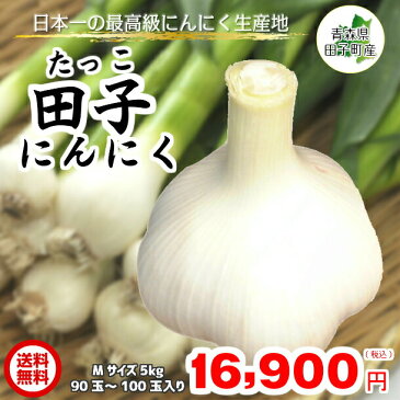 田子にんにく にんにく 青森県産 ニンニク 訳あり 送料無料 Mサイズ 5kg たっこにんにく タッコニンニク 国産 福地ホワイト六片