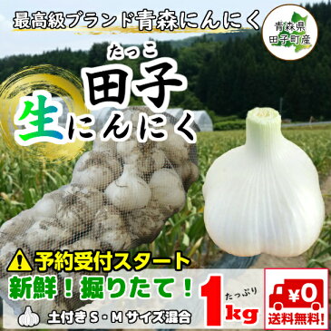 生にんにく 田子にんにく 青森産 なまにんにく S/Mサイズ混合 1kg　にんにく 生ニンニク 訳あり 福地ホワイト六片