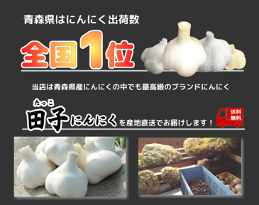 生にんにく 田子にんにく 青森産 なまにんにく S/Mサイズ混合 1kg　にんにく 生ニンニク 訳あり 福地ホワイト六片