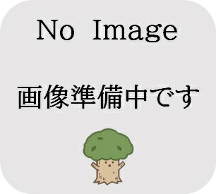 Rakuten - 【法人様・個人事業主様限定】南海プライウッドイナゴ天井　ありた関西　幅330×長さ191018枚入（3坪）