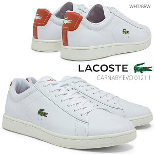 5P10!ץȥ꡼LACOSTE 饳 CARNABY EVO 0121 1  åȥˡ SM00042 ۥ磻ȥ֥饦(385) ݡĥ奢 쥶塼 ɳ 졼å ȷ Ŭ 饤 ý  ͵ǥ ʥӡ EVO 0121 1