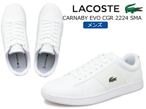 4P10!ץȥ꡼LACOSTE 饳 CARNABY EVO CGR 2224 SMA_SM00034  åȥˡ ۥ磻/꡼(1R5) ݡĥ奢 쥶塼 ɳ 졼å ȷ Ŭ ӥå ͵ǥ ʥӡ 