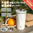 タンブラー 保温 保冷 600ml ホルダー付き 蓋付き 伸縮ストロー付きタンブラー 真空断熱構造 ステンレス製 広口設計 漏れない 洗いやすい 大容量 おしゃれ 水筒 持ち運び 車 キャンプ 通勤 通学 送料無料 防災 地震対策