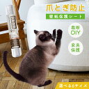 【限定10%OFFクーポン配布中】★最安値挑戦★★新発売★ 壁紙保護シート猫 爪研ぎ防止シート壁保護シートはがせる 半透明 艶消し ペットしつけ 目立たない壁/...