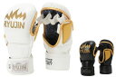 RYUJIN 本革トレーニング グラップリング グローブ //総合格闘技 グローブ MMA グラップリンググローブ 送料無料