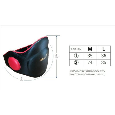 M-WORLDコーチングプロテクタープロ