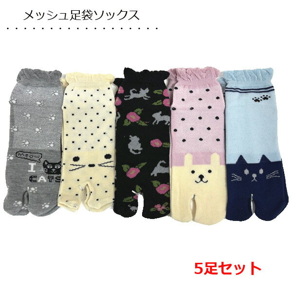 足袋ソックス 5足セット 夏用 メッシュ編み 猫柄 蒸れない 涼しい くるぶし丈 靴下 レディース 1000円ぽっきり 送料無料
