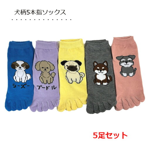 5本指ソックス 5足セット 犬柄 かかと付き くるぶし丈 イヌ ショート丈 靴下 レディース 1000円ぽっきり 送料無料 5本指ソックス 5足セット 犬柄 かかと付き くるぶし丈 イヌ ショート丈 靴下 レディース 1000円ぽっきり 送料無料