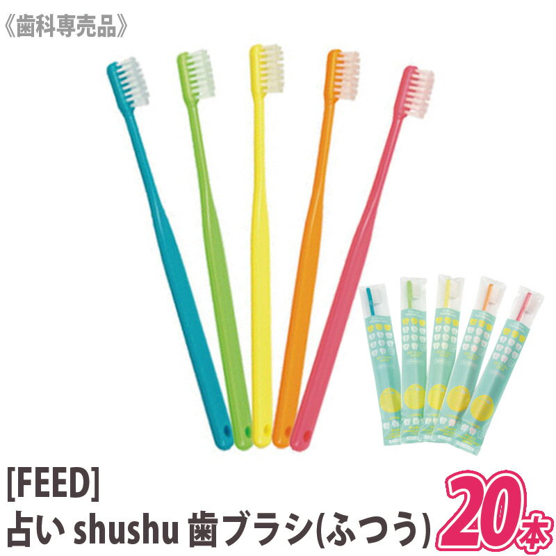 1000円ポッキリ　お一人様1点まで【20本セット】【メール便のみ送料無料】[FEED] shushu 占い 歯ブラシ ふつう シュシュ 歯科専売品　日本製