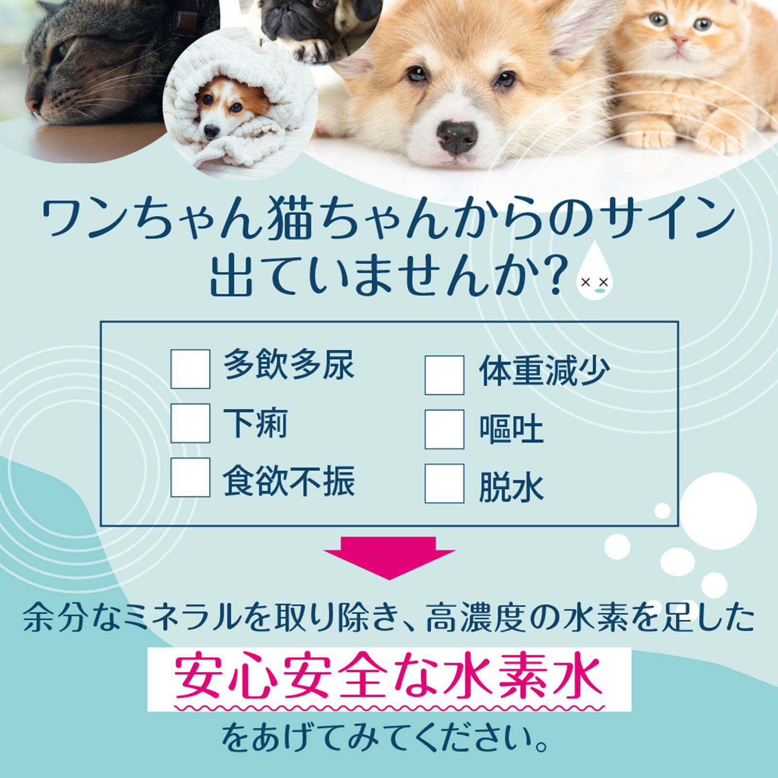 水素水 ペット ペット専用水素水 獣医さんの水素水 高濃度水素水 犬 猫 中性 軟水 ...