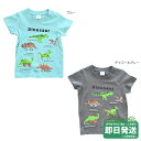 セール30%OFF!チークルーム 恐竜 半袖Tシャツ 仕掛けTシャツ CHEEKROOM●メール便OK
