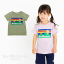 セール30 OFF！ホットビスケッツ 吸汗速乾素材 半袖Tシャツ(80cm-120cm)ミキハウス正規販売店●メール便OK