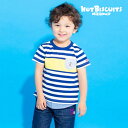 セール30%OFF!ホットビスケッツ 見頃切替え 半袖Tシャツ(80cm-110cm)ミキハウス正規販売店●メール便OK