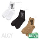 セール50%OFF!アルジー ハリヌキ 縦ロゴ クルーソックス ALGY●メール便OK