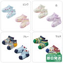 ホットビスケッツ ハイソックスパック2足セット(9cm-19cm)ミキハウス正規販売店●メール便OK