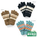 アンパサンド アランボーダー 手袋 ampersand●メール便OK