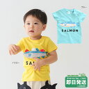セール30%OFF!チークルーム シャケ 半袖Tシャツ 仕掛けTシャツ CHEEKROOM●メール便OK