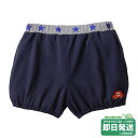 セール30%OFF!ミキハウス くるまワンポイント ブルマ (フリー/70-90cm)ミキハウス正規販売店●メール便OK