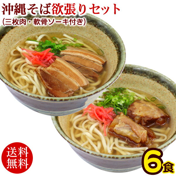 照喜名 生沖縄ソーキそば 2人前（麺・そばだし・具材） 【送料無料・メール便(ネコポス)】 ｜ てるきなそば生麺 ソーキそば 炙り軟骨ソーキ　照喜名製麺所