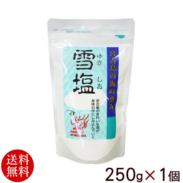 雪塩 250g×1個 【レターパックプラス送料無料】のサムネイル