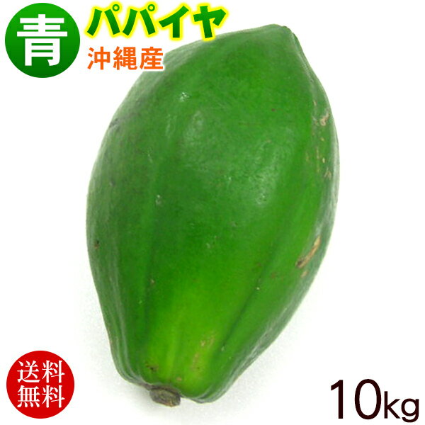 沖縄産 青パパイヤ 約10kg /沖縄野菜 パパイン酵素【送料無料】