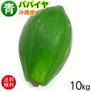 沖縄産 青パパイヤ 約10kg /沖縄野菜 パパイン酵素【送料無料】