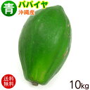 沖縄産 青パパイヤ 約10kg　/沖縄野菜 パパイン酵素【送料無料】