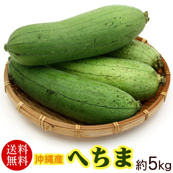 全国お取り寄せグルメ沖縄その他の野菜No.20