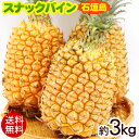 石垣島産スナックパイン 約3kg 2玉〜5玉 /沖縄産パイナップル ボゴールパイン【送料無料】