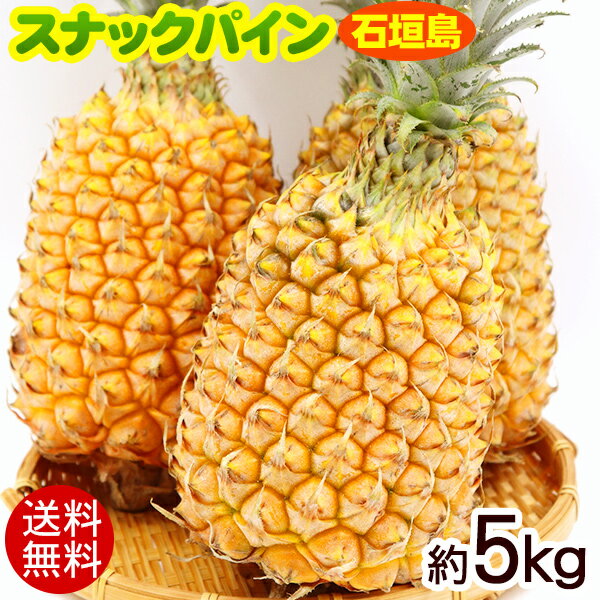 石垣島産スナックパイン 約5kg（4玉〜9玉）　/沖縄産パイナップル ボゴールパイン