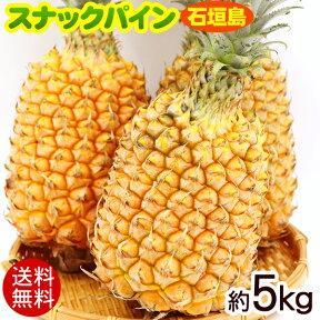 石垣島産スナックパイン 約5kg（4玉〜9玉）　/沖縄産パイナップル ボゴールパイン【送料無料】