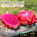 【9月中旬以降発送予定】宮古島産 ドラゴンフルーツ 赤 約500g(1玉) 【送料無料】/インパクトルビー ピタヤ