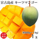 宮古島産キーツマンゴー1玉(約800g~1kg) 【送料無料】
