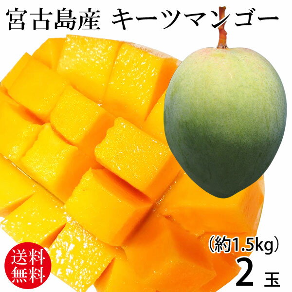 宮古島産キーツマンゴー 2玉(約1.5kg)【送料無料】