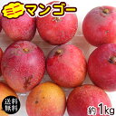 沖縄産ミニマンゴー 1kg （規格外アップルマンゴー） ＜送料無料＞