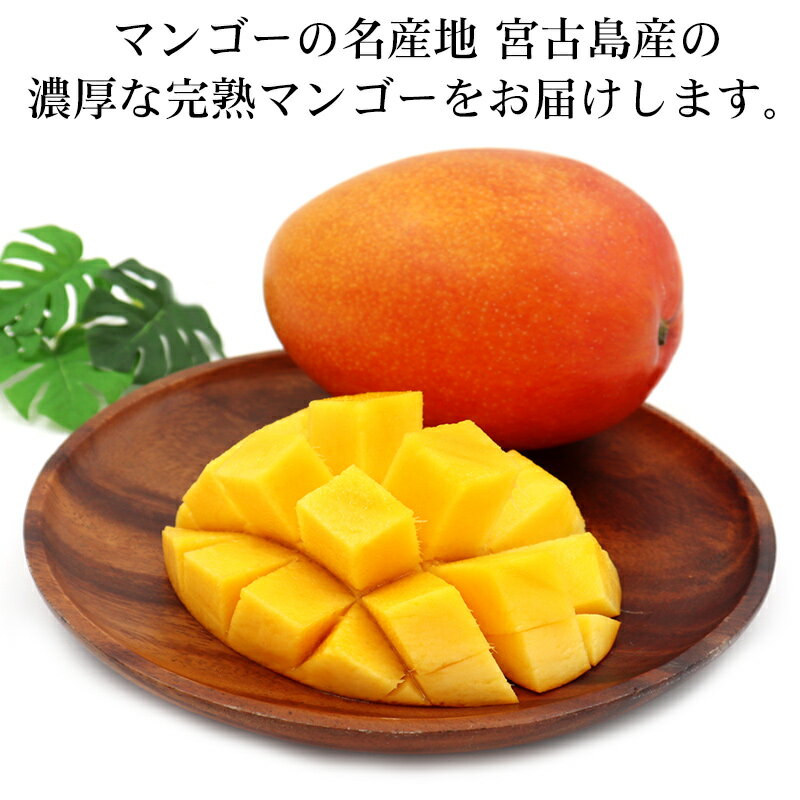 宮古島産 完熟マンゴー 1kg 【優品】（アップルマンゴー） 【送料無料】 2